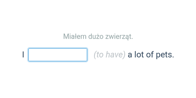 To have, to be in Past Simple