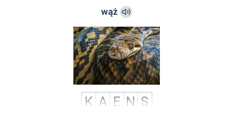 Zwierzęta w lesie