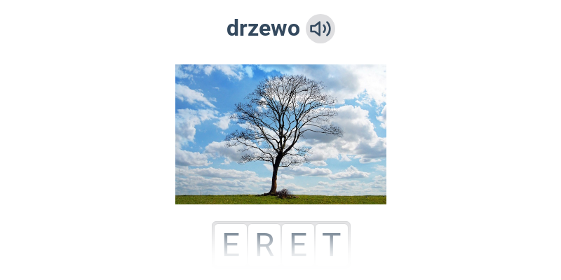 Kwiaty, drzewa