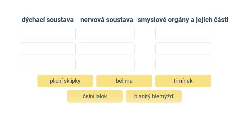 Ciało człowika: różne