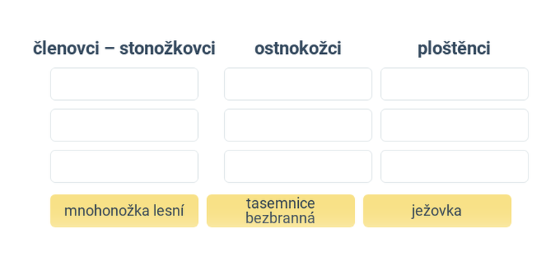 Bezkręgowce: rozne