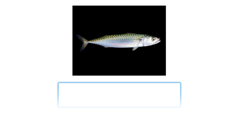 Ryby promieniopłetwe