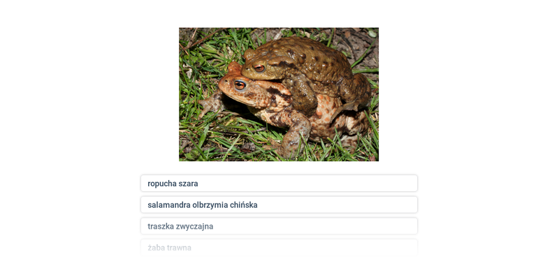 Płazy