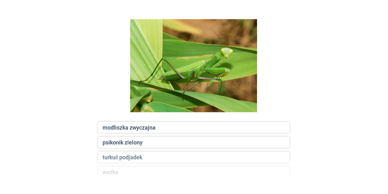 Owady z przeobrażeniem niezupełnym