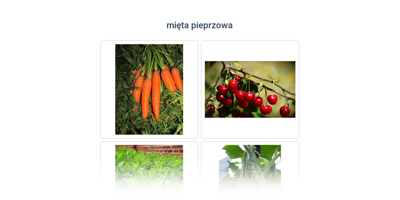 Owoce i warzywa, rośliny aromatyczne