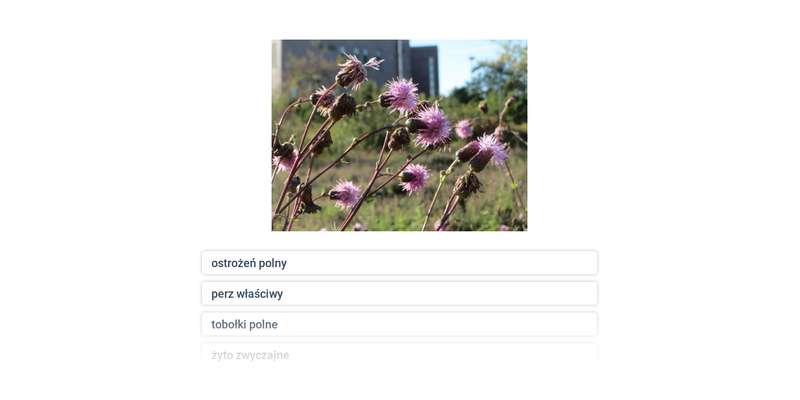 Uprawy polowe i chwasty
