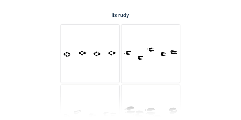 Ślady ssaków