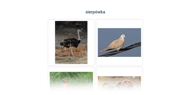 Paleognatyczne, grzebiące, gołębiowe, wodne