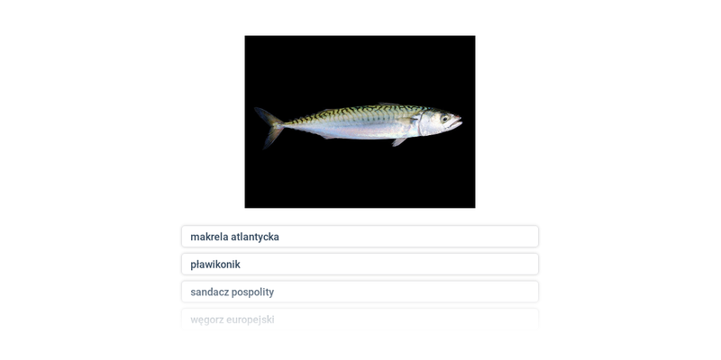 Ryby promieniopłetwe