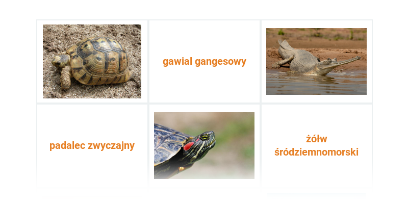 Gady