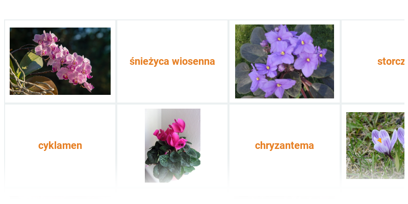 Rośliny ozdobne i pokojowe