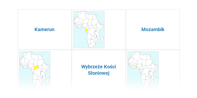 Afryka państwa