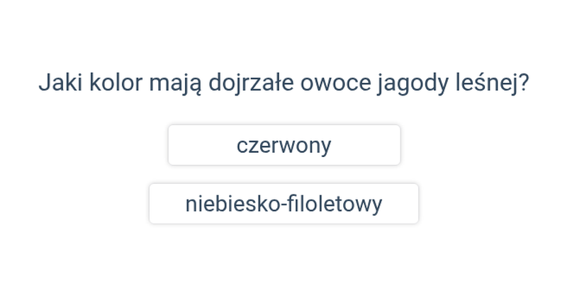 Grzyby i rośliny w lesie