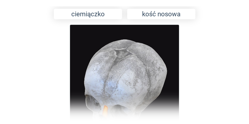 Kości w ciele