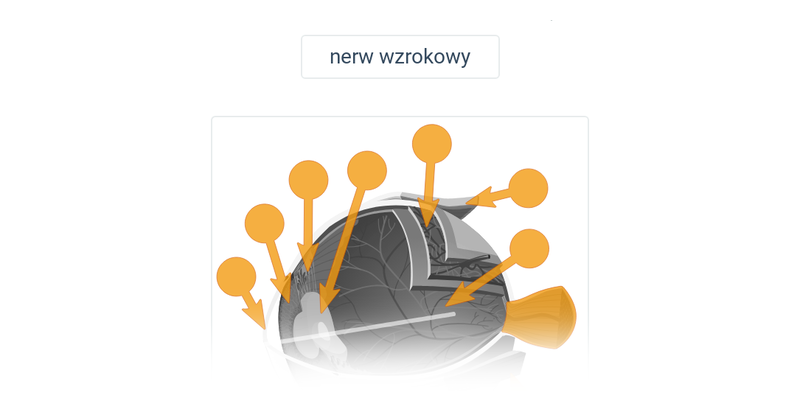Zmysły: różne