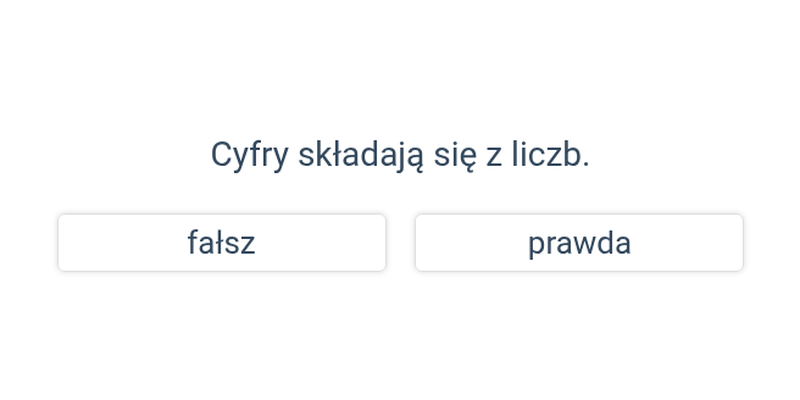 Format danych